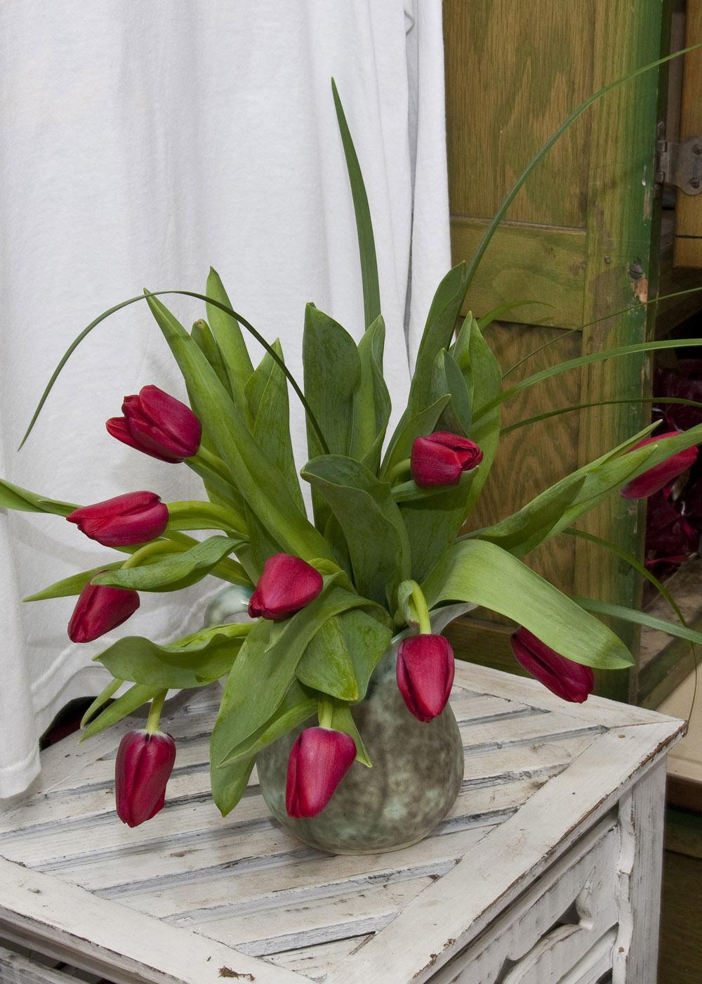 Savvy gardeners know they can share a message from the heart this Valentine's Day with the flowers they give. Tradition says red tulips tell the recipient, "I love you." (Photo by Scott Corey)
