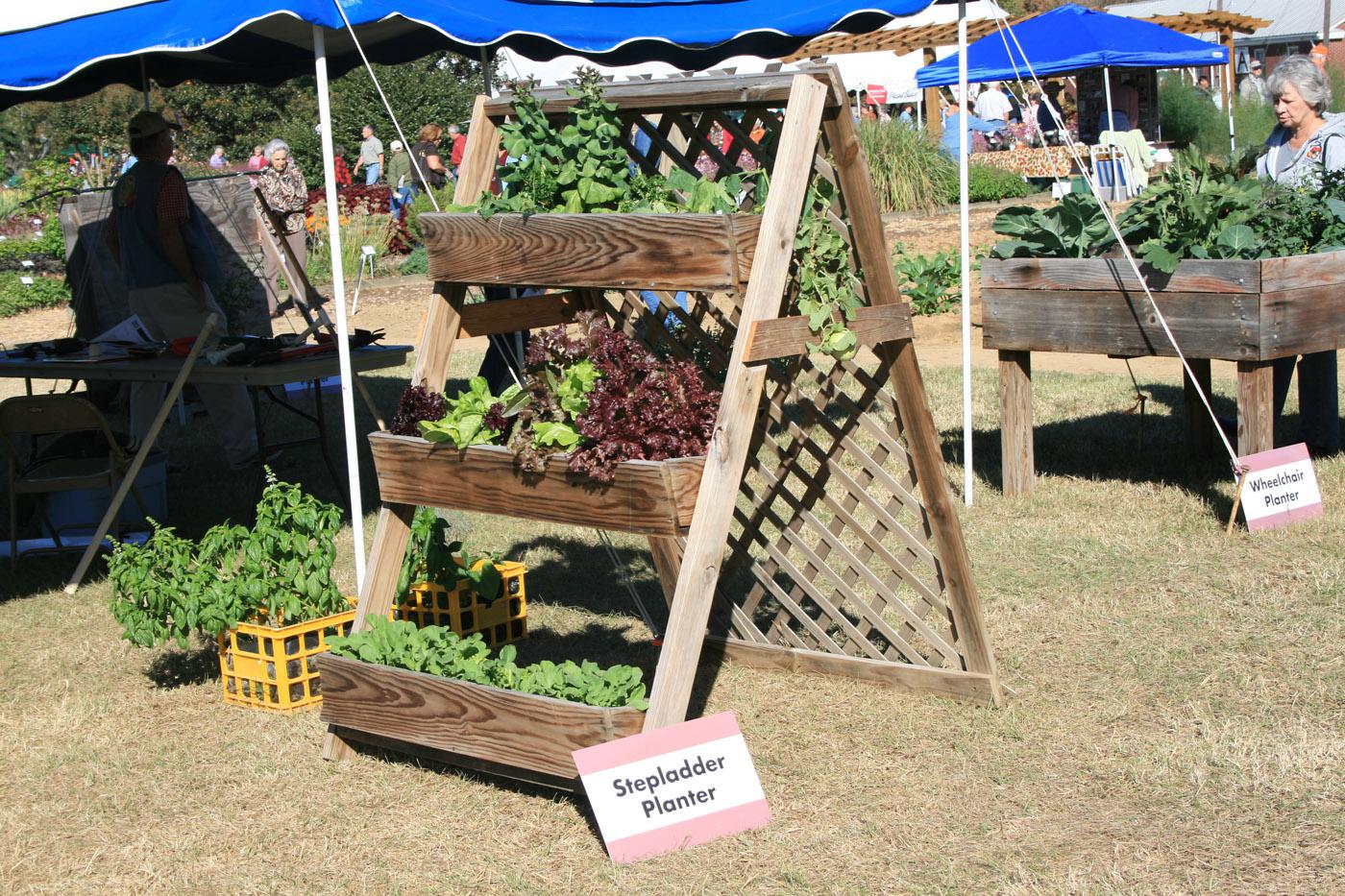 These window boxes placed on a stepladder-type stand allow gardeners to water and harvest without bending over. This model is one example of an accessible garden design. (Photo by Gary Bachman)