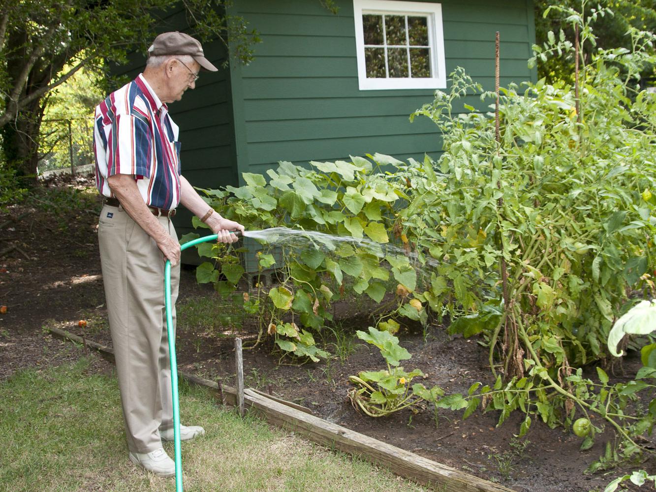 Harold Rone of Starkville uses a hose to water his garden when rainfall is not adequate. If the idea of a hose doesn't appeal to you, consider installing an irrigation system. (Photo by Scott Corey)