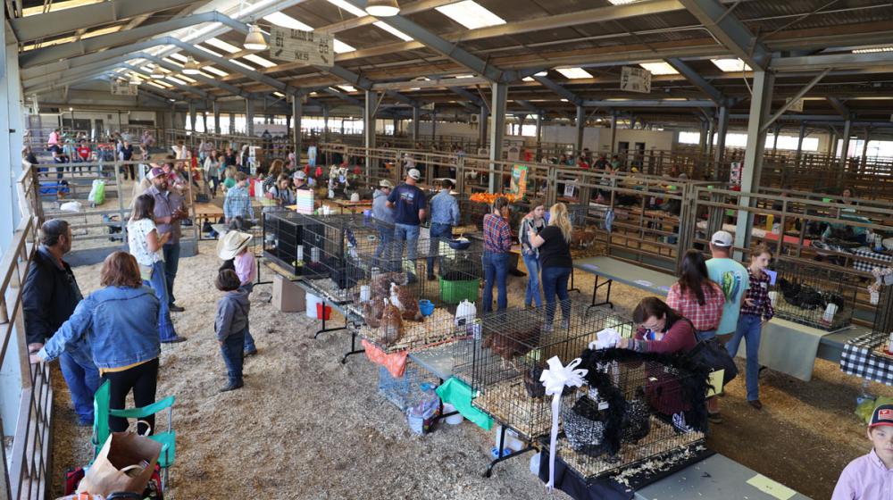 2022 Mississippi State 4-H Poultry Chain fairgrounds set up.