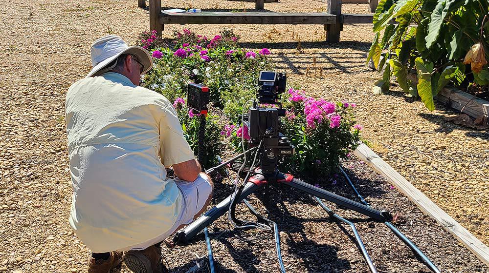 Behind the scenes at Southern Gardening 