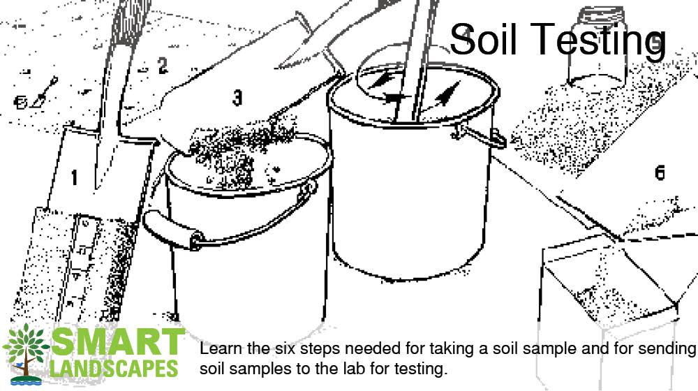 Soil testing sketch