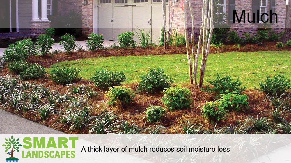 Photo of a mulch covered residential driveway planter bed