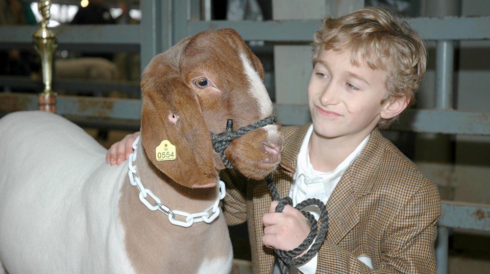 Young boy and his prize-winning goat.