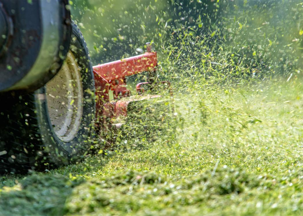 Close up shot of a lawn mower cutting grass
