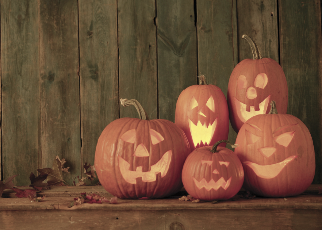 Four jack-o-lantern pumpkins