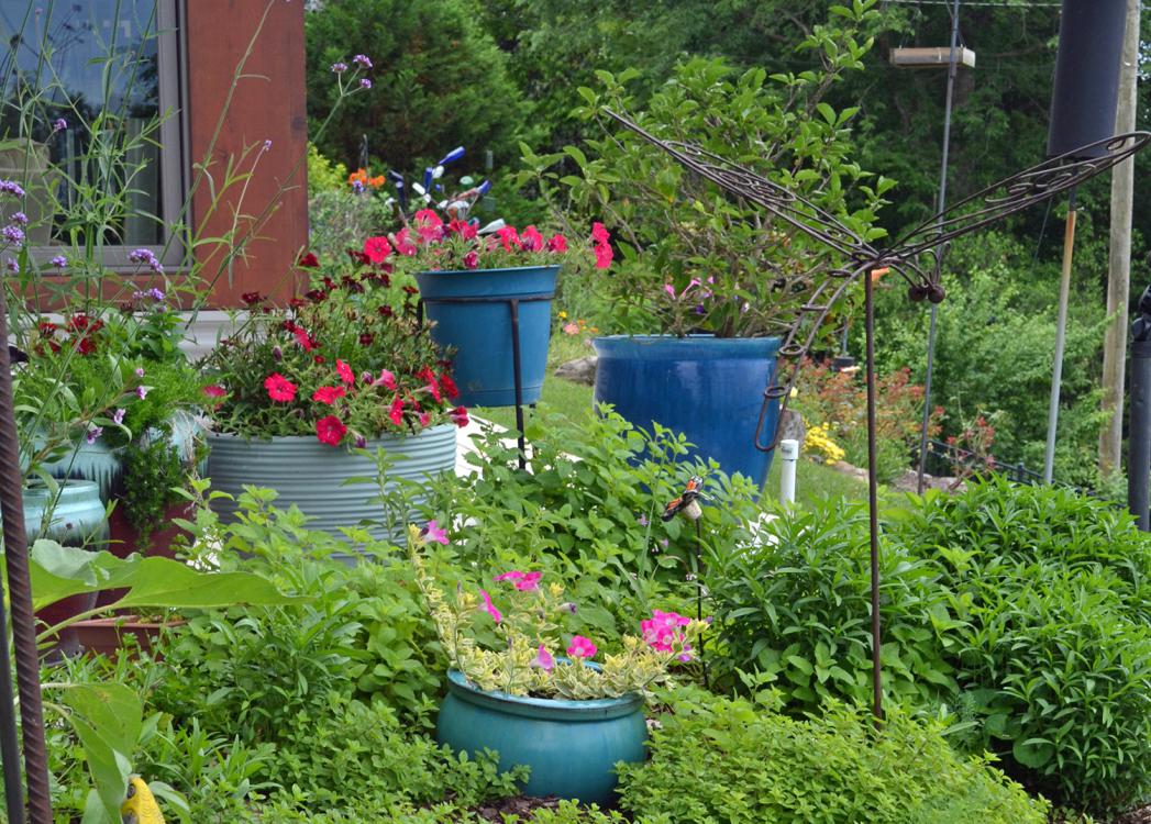 Blue containers hold plants in a landscape.