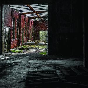dimly lit interior of an abandoned, overgrown building