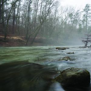 foggy stream with rocks and woods