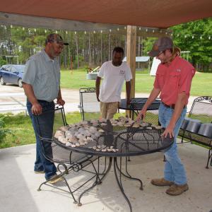 Three men standing around a table with shells and fossils on it.