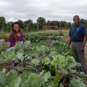 A man and woman stand on either side of a planter box full of leafy green plants; the box is one of many in a small community garden.