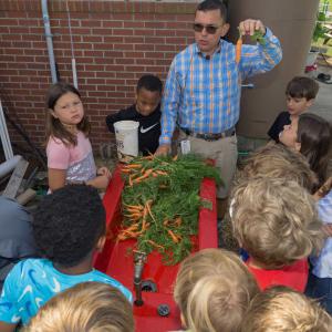 A man in a blue plaid shirt holding a carrot, standing behind a red outdoor sink full of carrots and surrounded by a group of children.