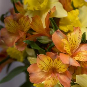 A closeup of flowers, with orange-yellow alstroemeria and front and yellow daffodils in back.