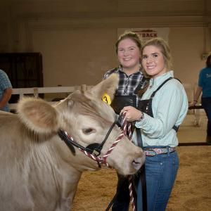 Two teenage girls stand beside a cow at the Mississippi State Fair.