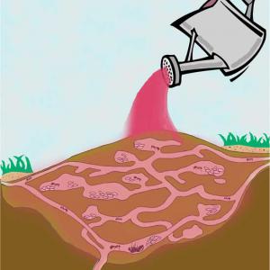 Drawing of a fire ant mound being drenched.
