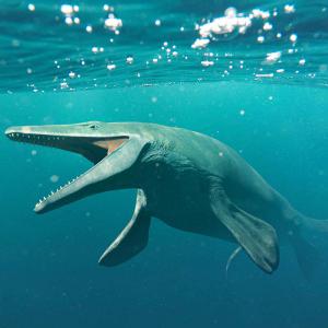 A prehistoric animal, like a marine iguana or a toothy whale, swimming through ocean. 