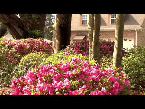 Tweener Time - Southern Gardening TV May 4, 2014