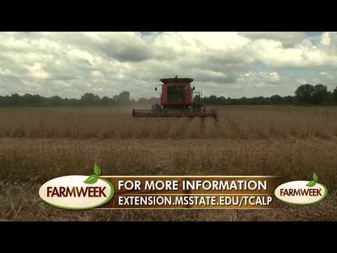 New TCALP Program Accepting Applications | Farmweek | May 25, 2017
