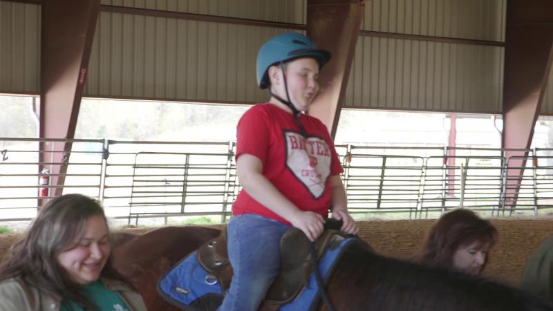 Equine Assisted Therapy Program