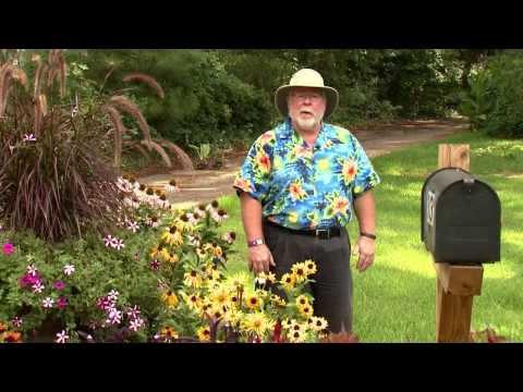 The Dog Days of August - Southern Gardening TV - August 7, 2013