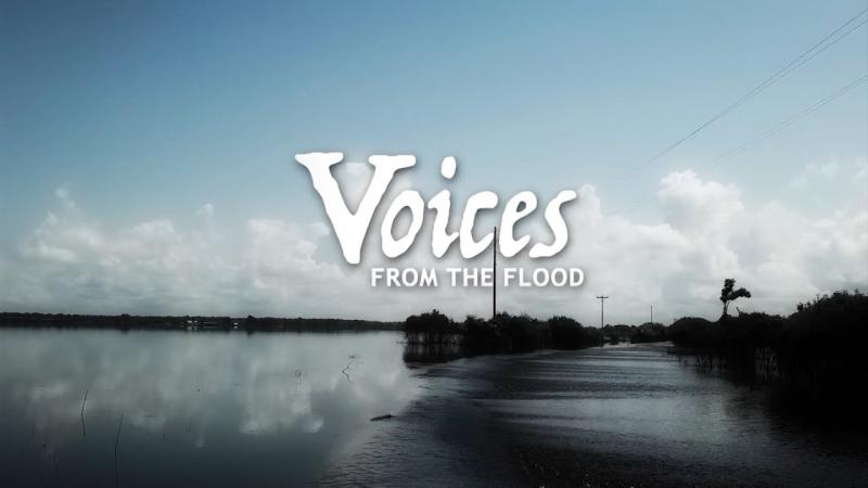 Voices From The Flood | Origin of the Series
