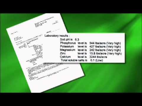 Interpreting Soil Test Results - MSU Extension Service