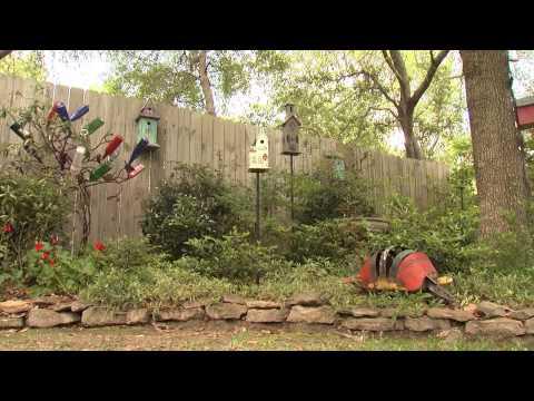 Shady Landscapes - Southern Gardening TV - June 12, 2013