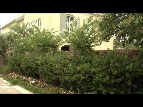 Garden Walls - Southern Gardening TV - September 11, 2013