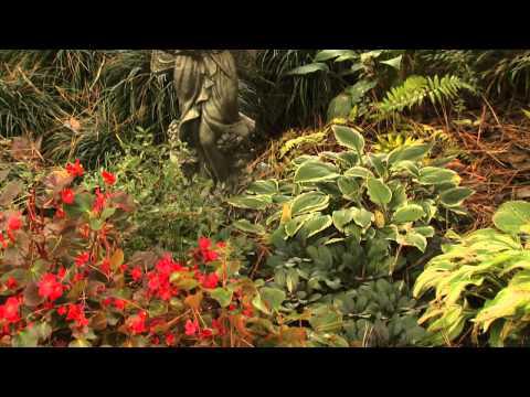Changing Seasons - Southern Gardening TV, October 31, 2012