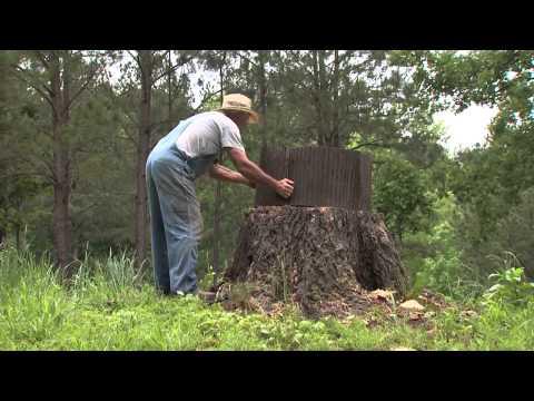 Southern Gardening TV - From Eye-sore to Eye-candy, May 29, 2013