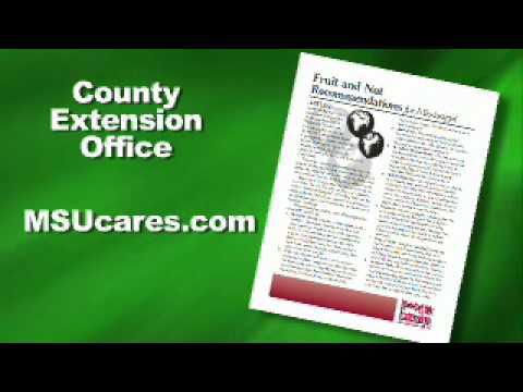 Selecting Fruit Trees - MSU Extension Service