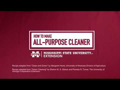 All Purpose Cleaner
