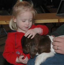 Two-year-old Jewell Vandevere, of Yazoo City, pats a four-day-old Boer goat during the Dixie National Junior Livestock Show.