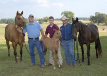 Two mothers with claim to one filly are together with Mississippi State University representatives Russ Farrar (from left), Dr. Kevin Walters and Greg Fulgham. Top Card, the filly's biological mother is a quarter horse and is on the left. Her surrogate mother, Avonlea, is a Tennessee walking horse and is on the right. (Photo by Tom Thompson)