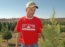 Mississippi Christmas tree grower Michael May examines a 4-year-old Leyland Cypress on his farm, Lazy Acres Plantation in Chunky. (Photo by Patti Drapala)
