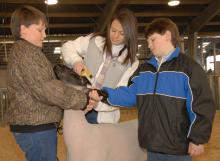Tyler Soignier, left, helps brace a lamb while his sister, Robyn, and brother, John Ryan, give it a final trim before entering the 2009 Dixie National Sale of Junior Champions.