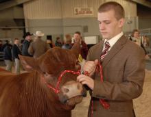 Wes Herrington of Laurel, Miss., 16, prepares to take his steer into the Dixie National Sale of Junior Champions Thursday morning. (Photos by Jim Lytle)
