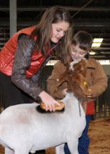 Forrest County 4-H members Alexandra Pittman, 12, and Carson Keene, 5, of Hattiesburg, prepare to take Pittman's Mississippi bred grand champion goat, which was the reserve champion light heavyweight goat, into the auction ring at the Dixie National Sale of Junior Champions on Feb. 11. Buyers donated more than a quarter of a million dollars at this year's sale of 42 market animals. (Photo by Kat Lawrence)