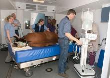 Dr. Stuart Shoemaker maneuvers equipment inside the mobile MRI unit for horses at MSU's College of Veterinary Medicine. Shoemaker and Dr. Bob Schneider, background, are co-owners of MREquine. MSU equine surgeon Dr. Sarah Sampson, left, and equine surgery resident Dr. Cathleen Mochal along with other staff members also took part in this recent procedure at MSU. (Photo by Tom Thompson)