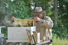 New beekeeper Mark Lewis of Lowndes County enjoys learning about bees and their care. (Courtesy photo by Keri Collins Lewis)