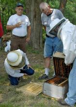 Jon Zawislak from the University of Arkansas Cooperative Extension Service demonstrates how to check a bee hive for swarm cells during a beekeeping field exercise at Tony Homan Apiaries in Shannon. (Photos by Keri Lewis)