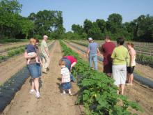 Members of the Steede Farms Community Supported Agriculture, or CSA program, tour the farm with brothers Heath and Mike Steede to learn more about how their food is grown. (Submitted photos)