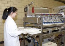 Wei Zhai, assistant Mississippi State University Extension poultry science professor, uses a multi-egg injector machine to inject eggs with carbohydrates. (Photo by Kat Lawrence)