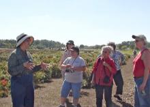 Pam Collins (left), assistant research/Extension professor and director of gardens in Mississippi State University's Department of Plant and Soil Sciences, leads a group of prairie wildflower enthusiasts on a tour of research plots at MSU's North Farm to promote the restoration and preservation of Mississippi's vanishing prairie ecosystems. (Submitted photo.)