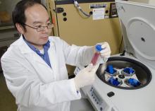 Henry Wan uses a centrifuge to isolate the flu viruses he researches. Wan and his colleagues discovered the first molecular evidence linking live poultry markets in China to human H5N1 avian influenza. (Photo by MSU College of Veterinary Medicine/Tom Thompson)