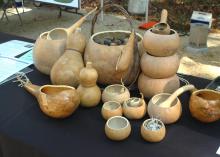 Janet Conners Schlauderaff displayed her hand-crafted, functional gourds at the Piney Woods Heritage Festival held Nov. 16 and 17 at Mississippi State University's Crosby Arboretum. (MSU Ag Communications/Susan Collins-Smith)