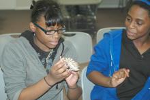 Nakita Johnson (left) and Jada Hardy get an up-close look at an Eastern hog-nosed snake, one of the state's non-venomous species, during the Wildlife Youth Day at the Coastal Plains Experiment Station Nov. 16. (MSU Ag Communications/Susan Collins-Smith)