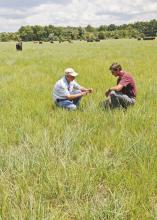 Durwood Gordon, left, and Judd Gentry examine the native-grass pasture in Gordon's intensive grazing operation in Panola County. Gordon Farms is participating in Mississippi State University's REACH program. (Photo by MSU Ag Communications/Scott Corey)