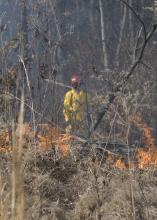 Clyde Brown, an agricultural technician with Mississippi State University's Forest and Wildlife Research Center, stands on a fire lane to monitor a prescribed fire on a cut-over in Oktibbeha County. After the site was clear cut and an aerial application of herbicide was applied, it was burned and replanted in pines. (Photo by MSU Forest and Wildlife Research Center)