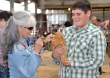 Rachel Harvey of Monticello pets Bob, a buff Plymouth Rock chicken raised by Stone County 4-H member Aaron Scara. Bob was one of six chickens Scara entered into the poultry show at the Mississippi State Fair on Oct. 12. The poultry show returned to the state fair in 2013 after a 30-year absence. (Photo by MSU Ag Communications/Susan Collins-Smith)